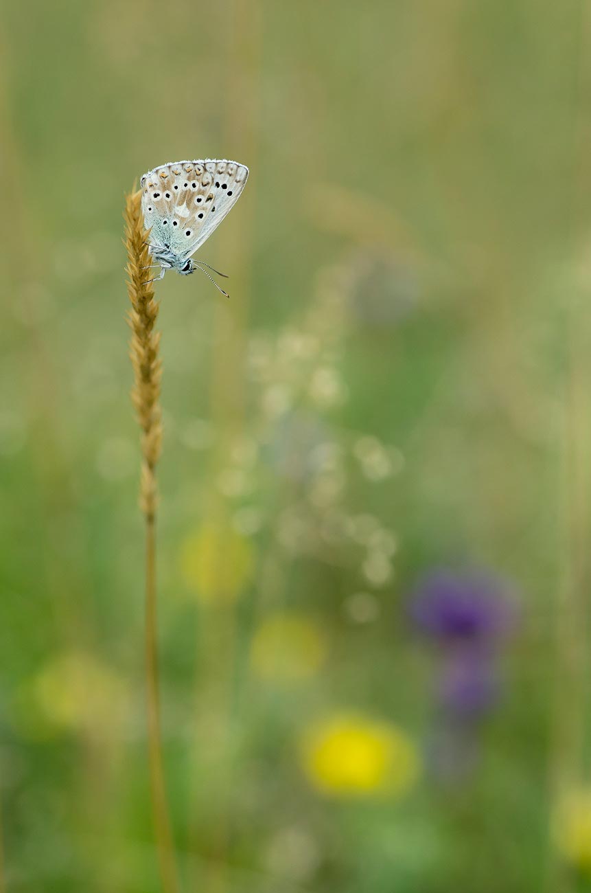 Attendre | Aurélien Zint