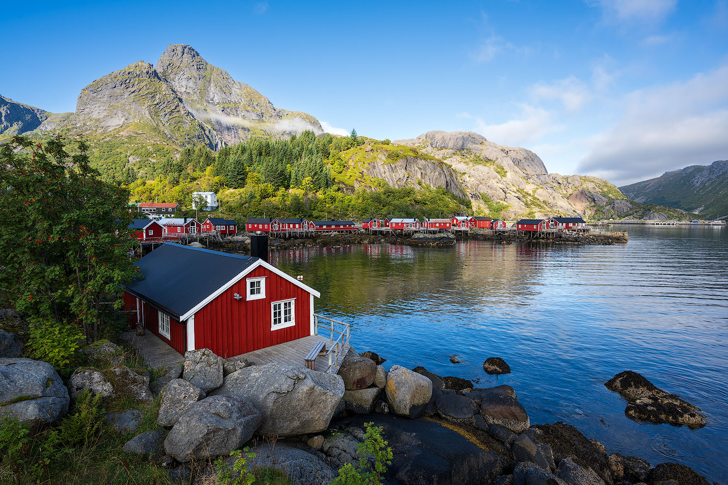 Au bord de l'eau | Aurélien Zint