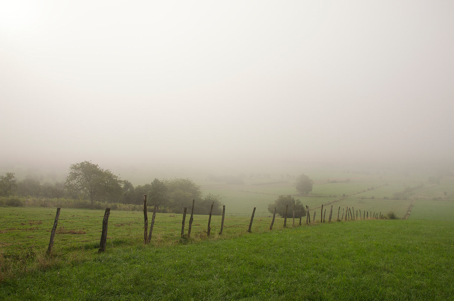 Brume matinale | Aurélien Zint