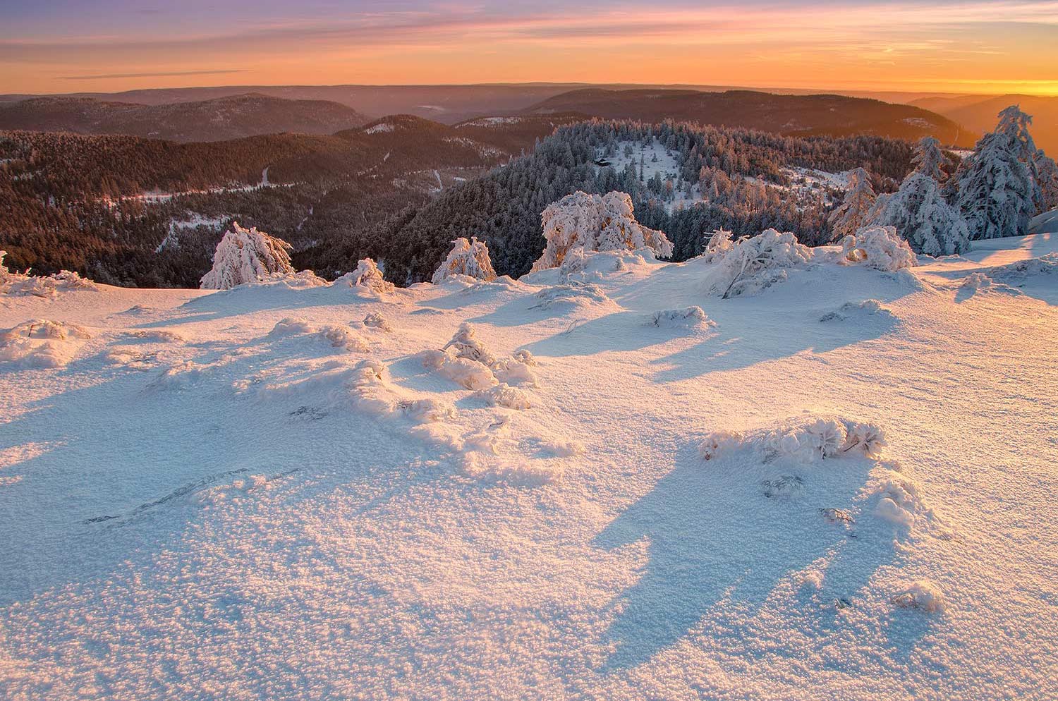 Forêt-Noire en hiver | Aurélien Zint