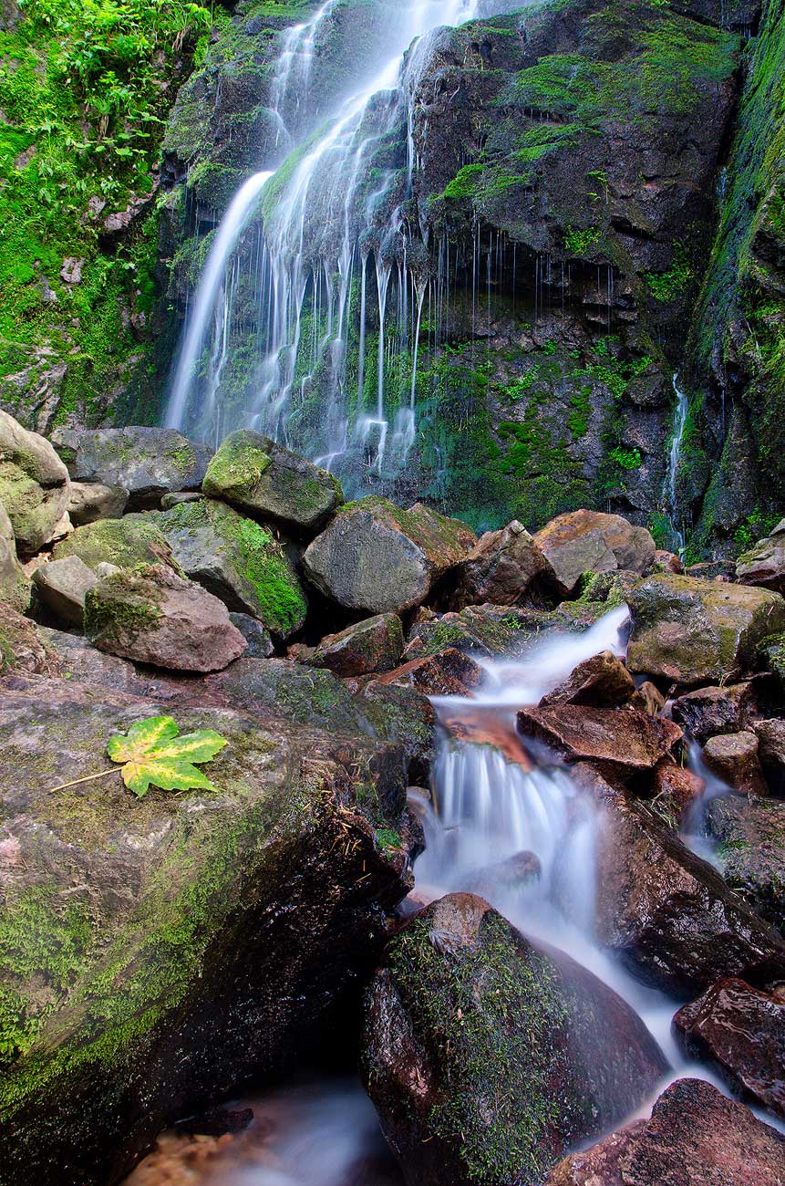 Cascade en Forêt-Noire | Aurélien Zint