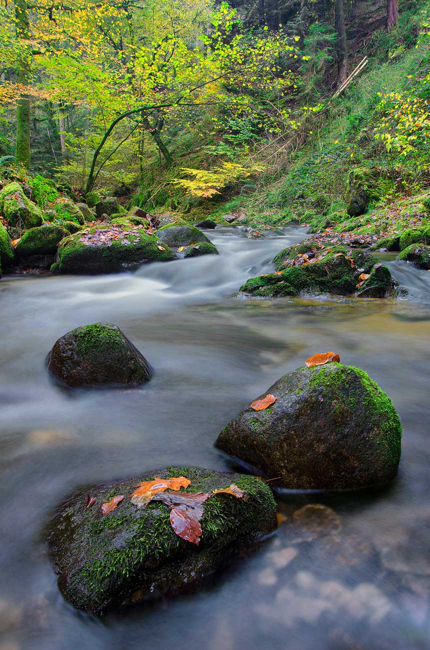 Cascade en Forêt-Noire | Aurélien Zint