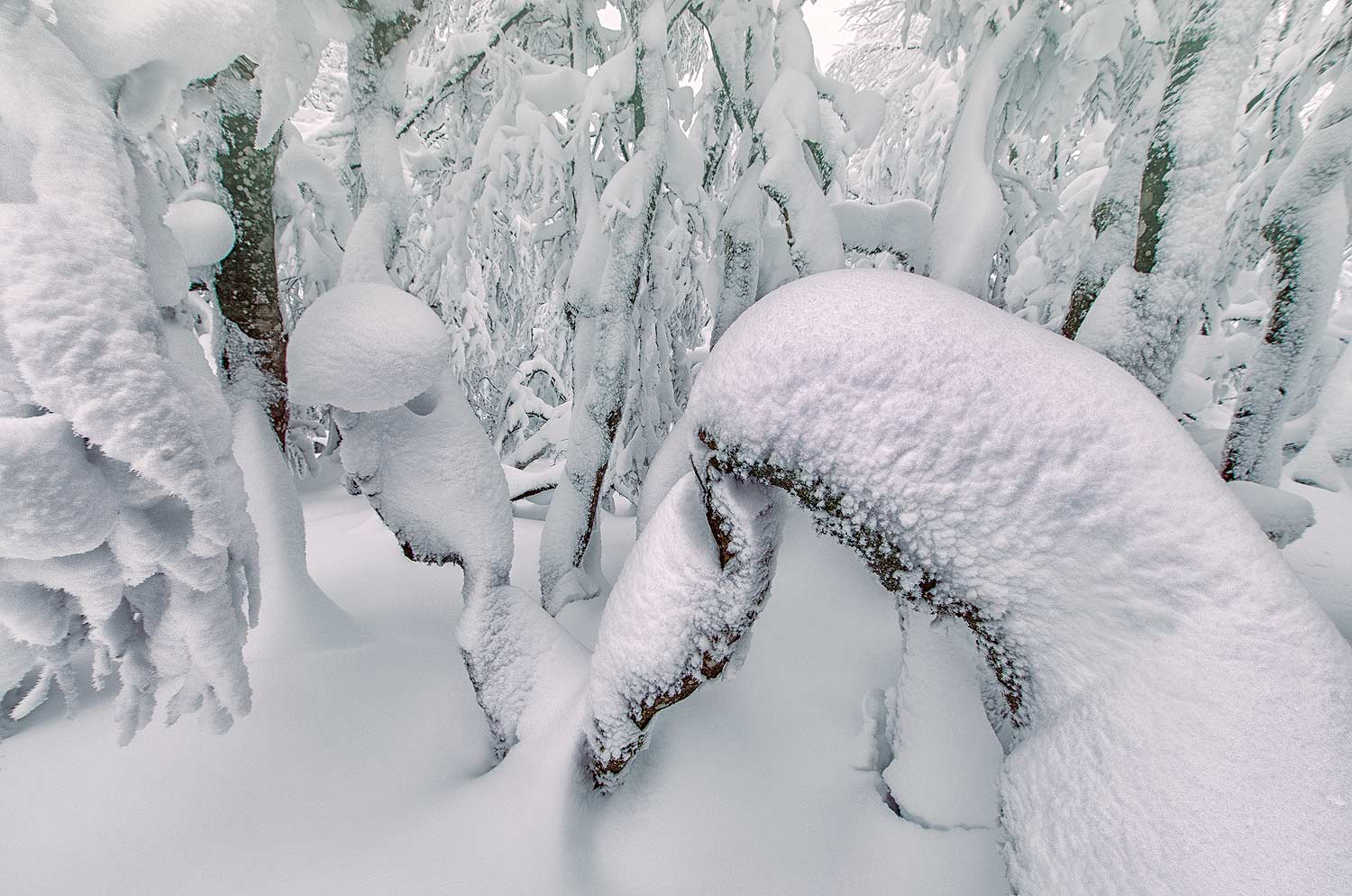Enneigement | Aurélien Zint