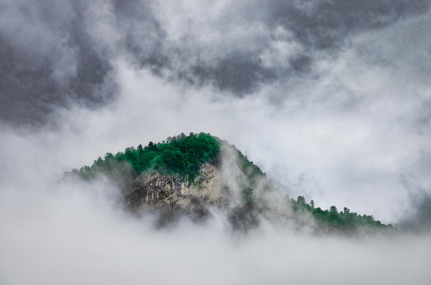 Dans la brume | Aurélien Zint