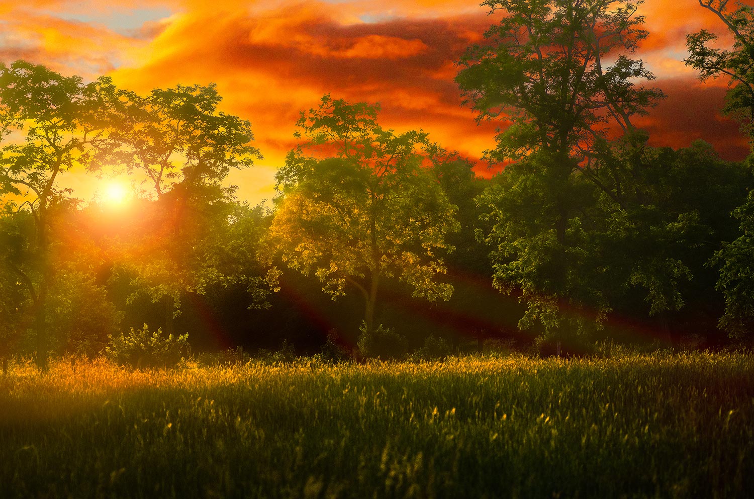 Soirée d'août | Aurélien Zint