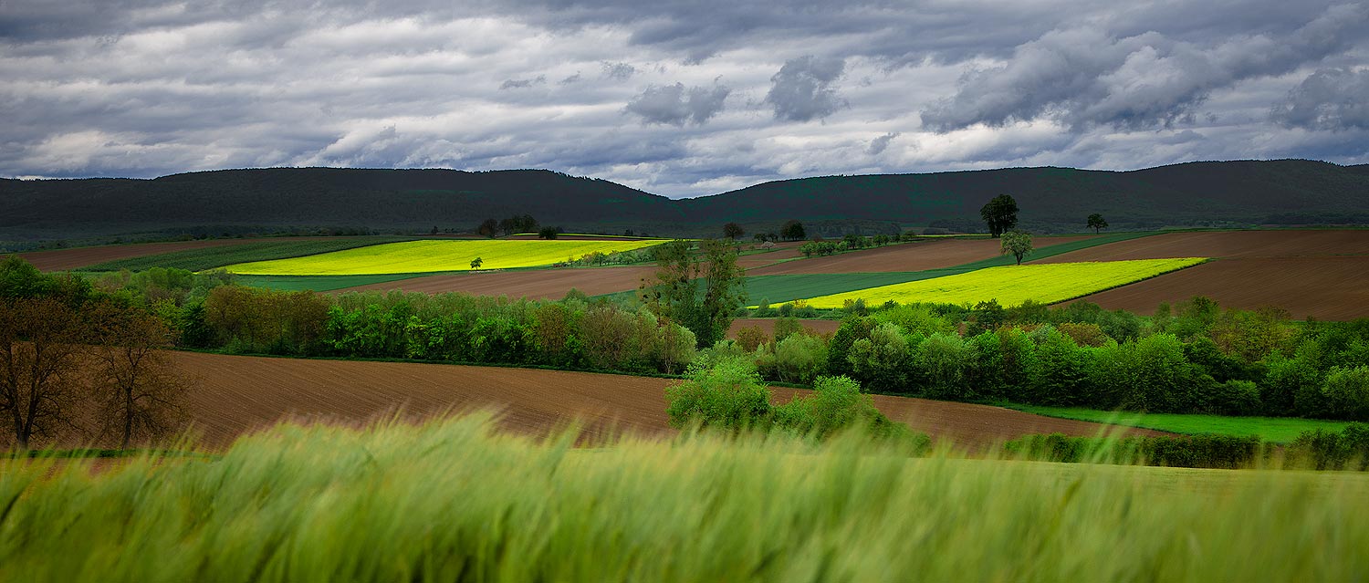 Superpositions | Aurélien Zint