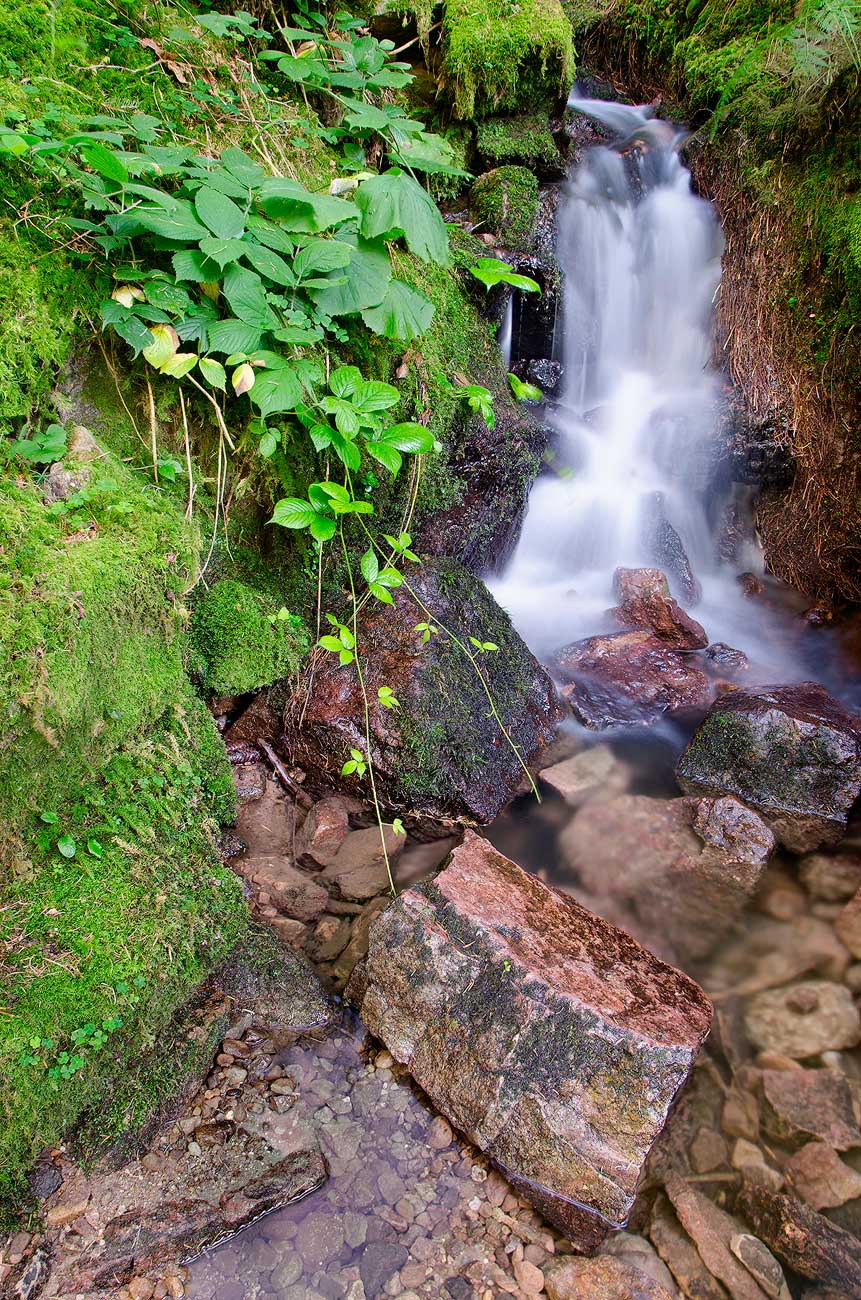 La source | Aurélien Zint