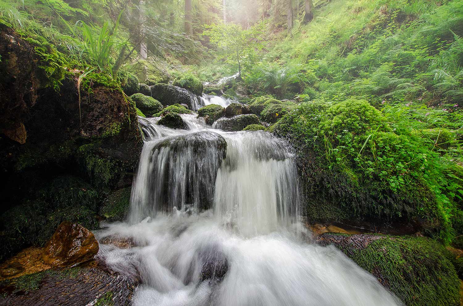 Au fil de l'eau | Aurélien Zint
