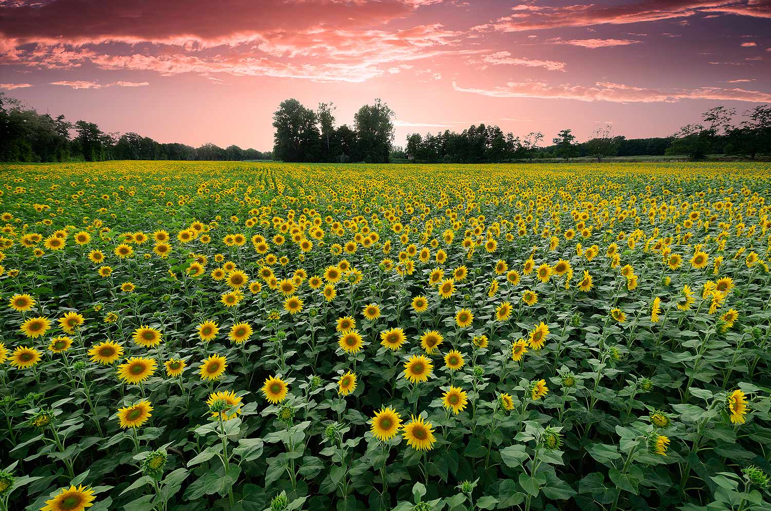 Prendre de la hauteur | Aurélien Zint