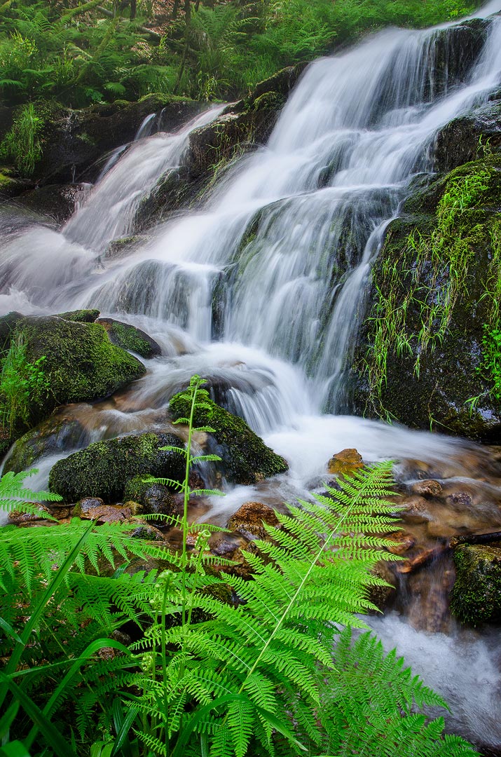 Cascade vosgienne | Aurélien Zint
