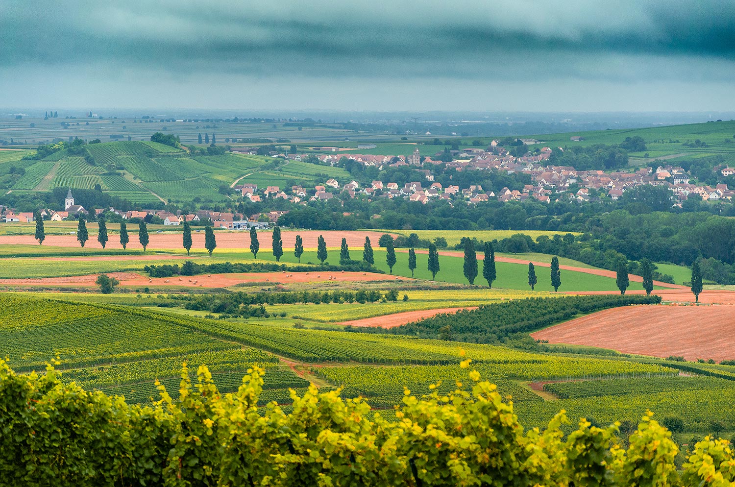 Toscane alsacienne | Aurélien Zint