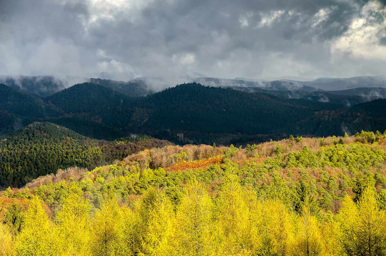 Couches de couleurs automnales | Aurélien Zint
