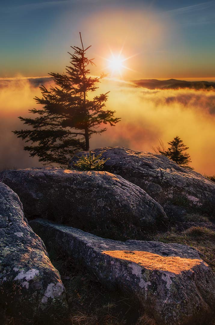 Dernières lueurs de décembre | Aurélien Zint