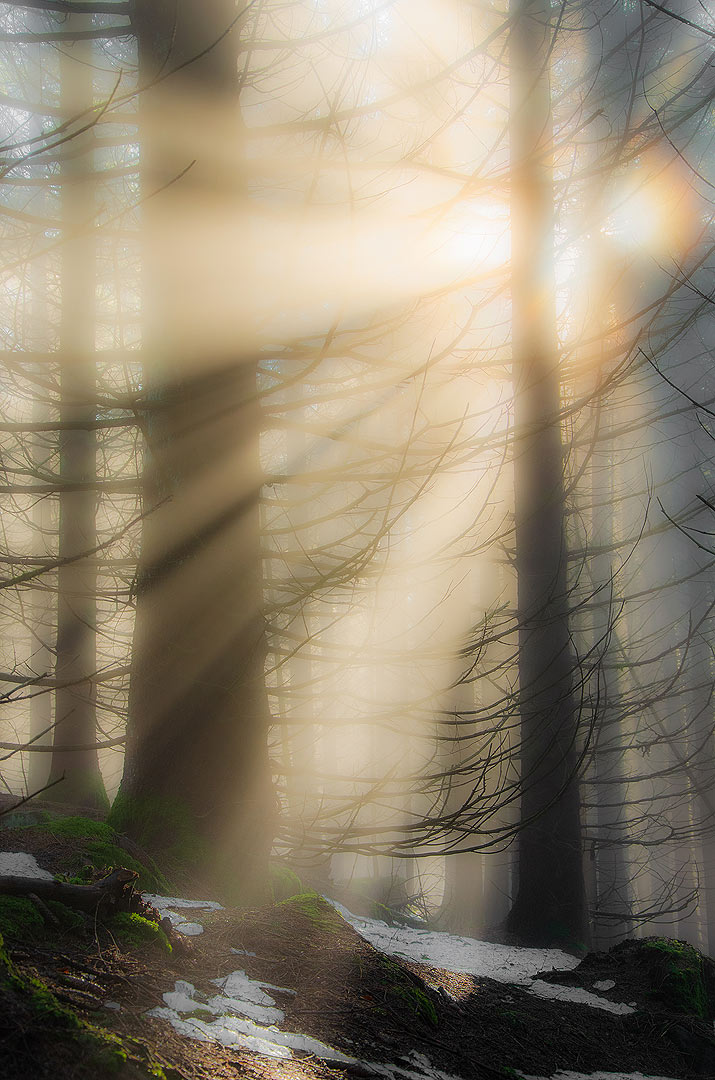 La lumière divine | Aurélien Zint