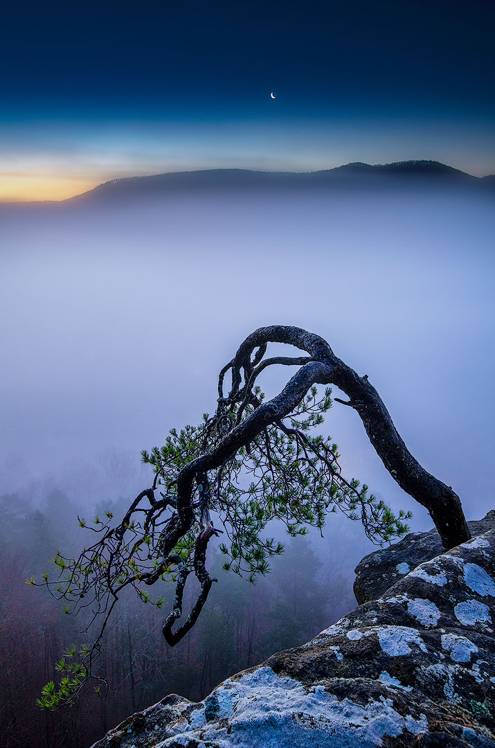 Au clair de lune | Aurélien Zint