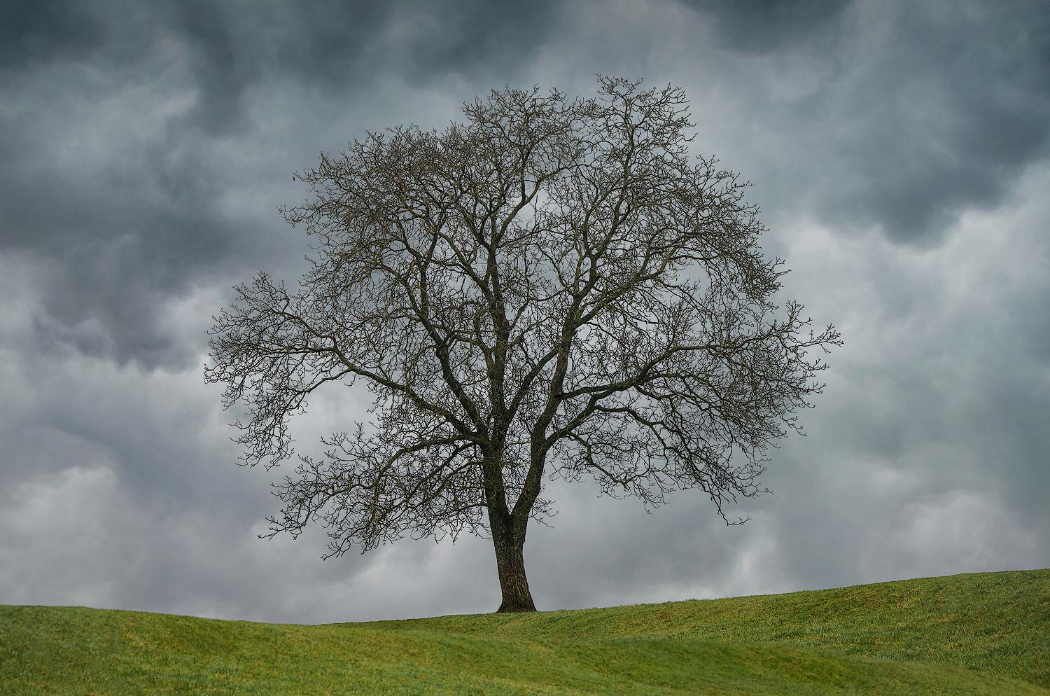 La danse de la pluie | Aurélien Zint