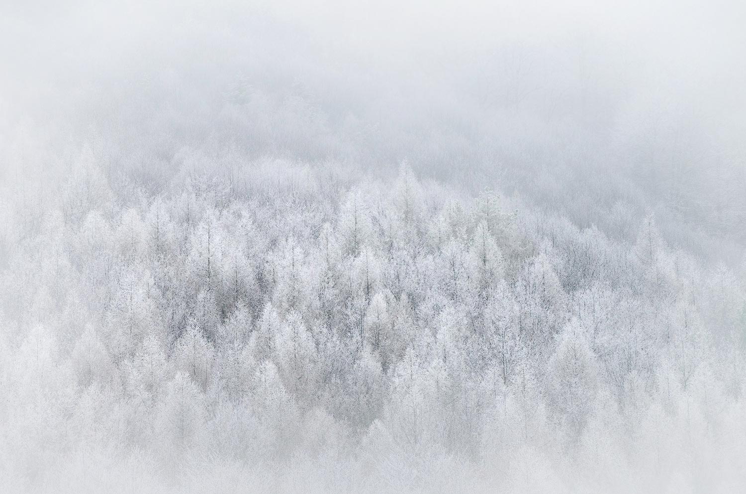 Paysage givré | Aurélien Zint