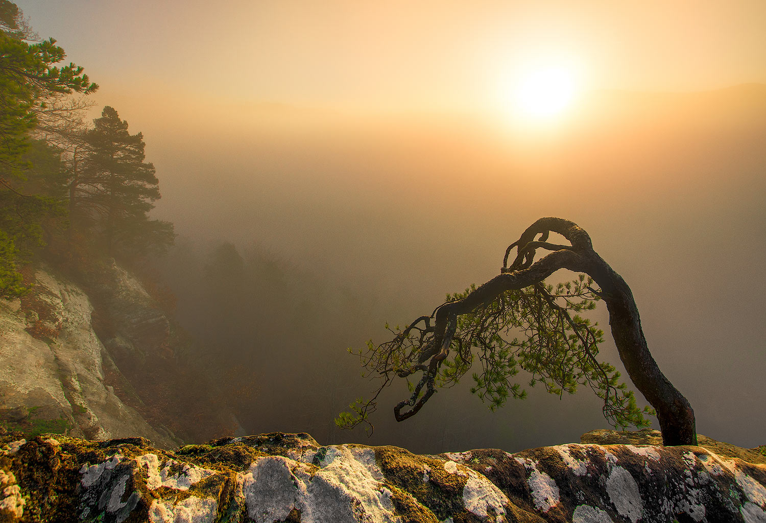 Lever de soleil en Alsace du Nord | Aurélien Zint