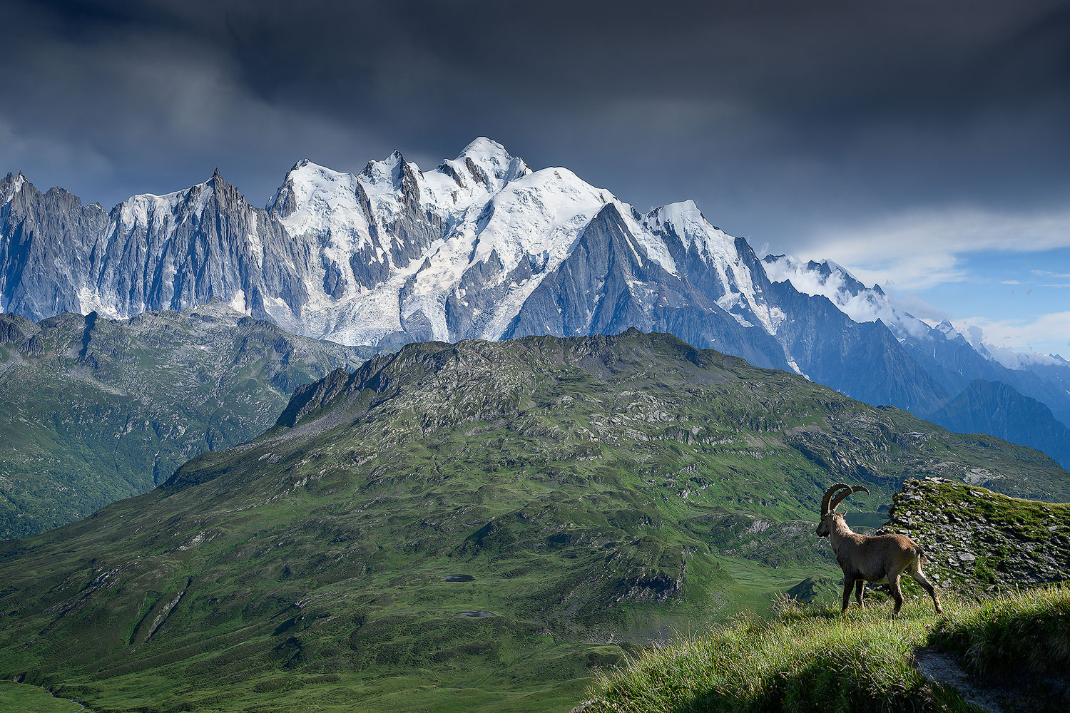 Contemplation | Aurélien Zint