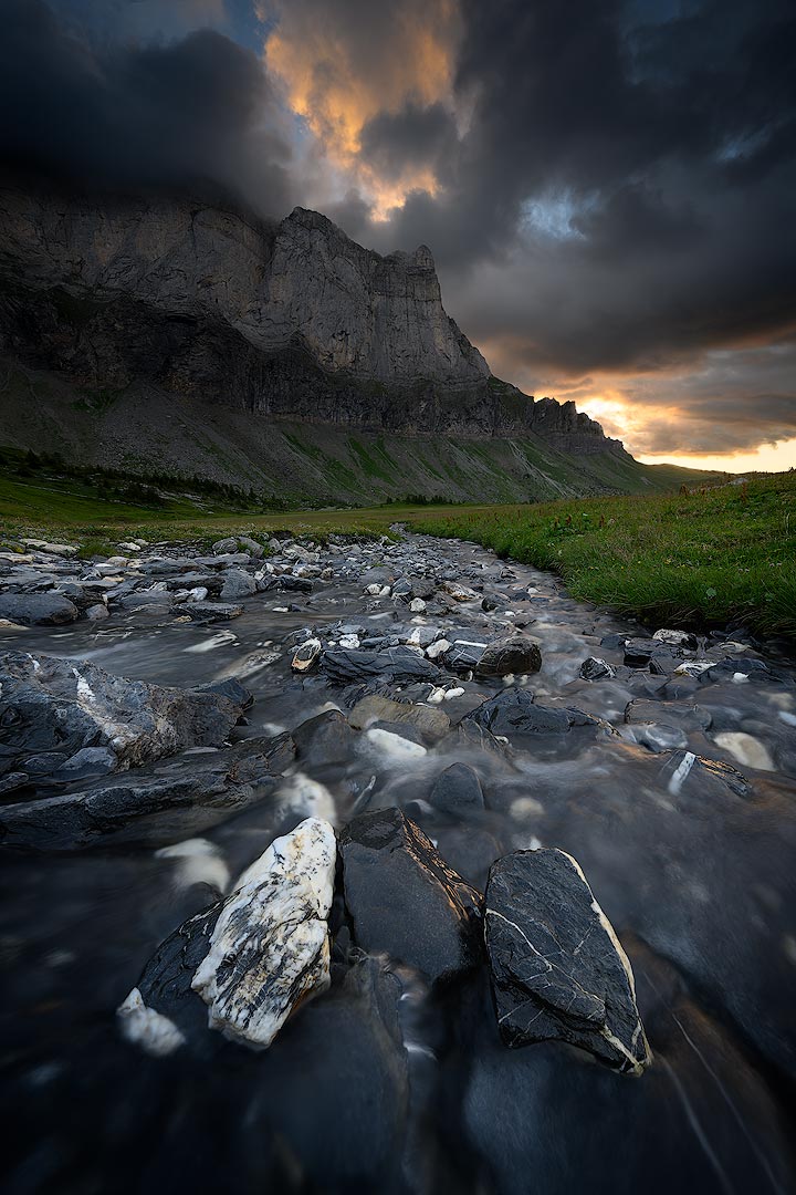 La source de jouvence | Aurélien Zint