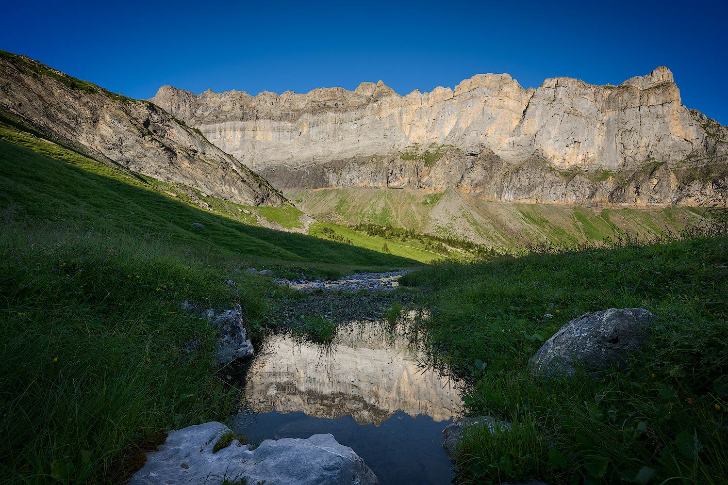 Le reflet du géant | Aurélien Zint