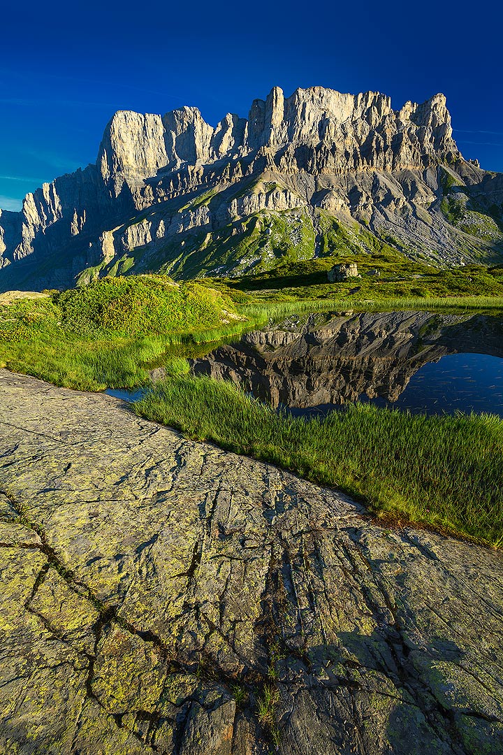 Le colosse de pierres | Aurélien Zint