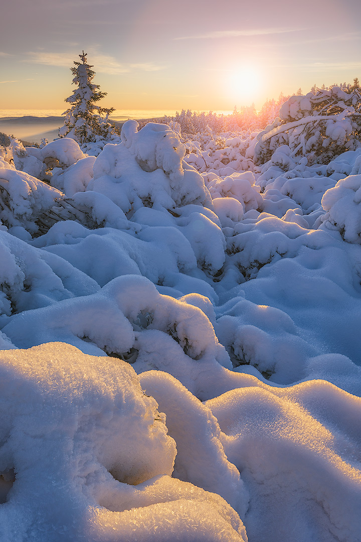 Lever de soleil en Forêt-Noire | Aurélien Zint