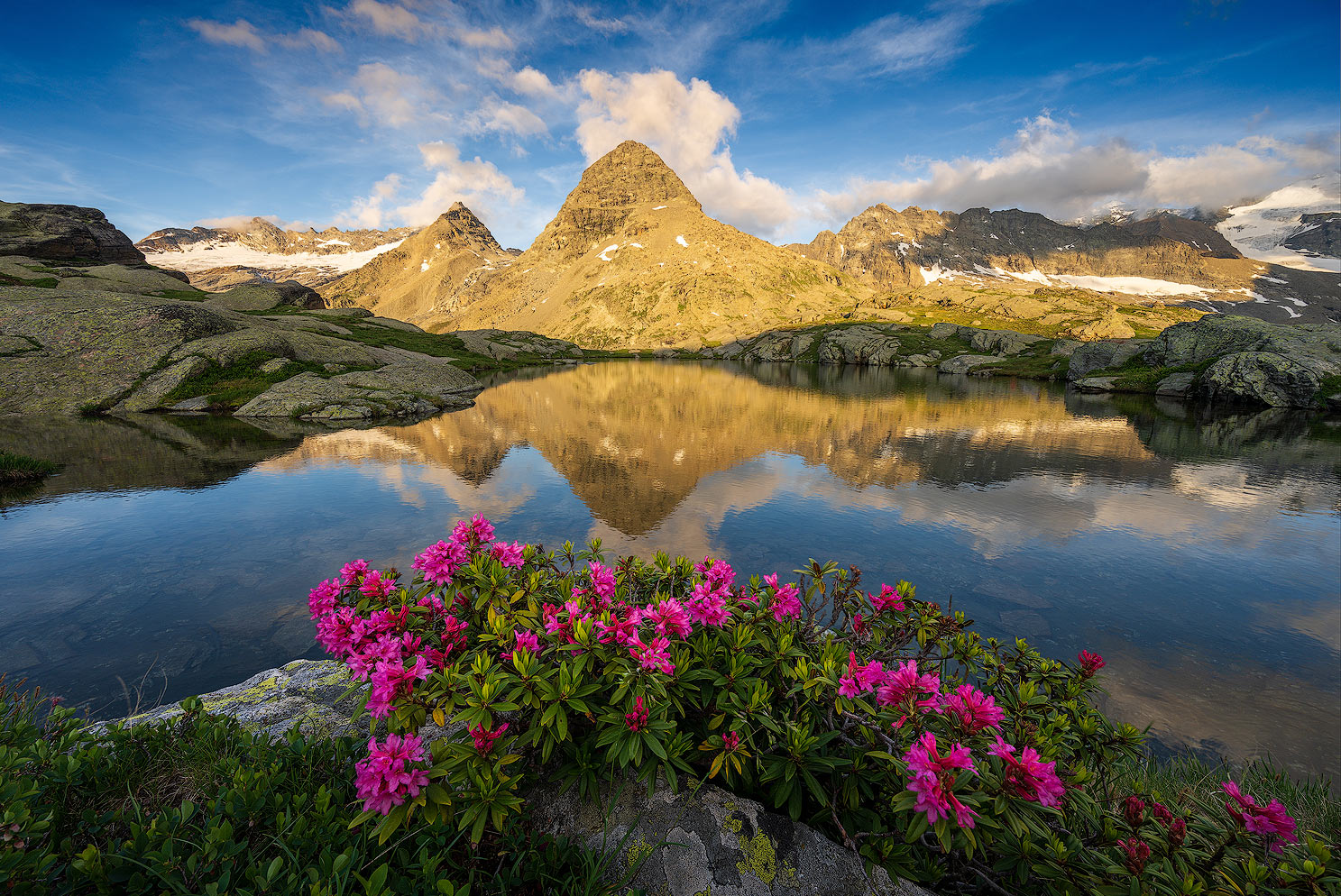 Bouquet des Alpes | Aurélien Zint