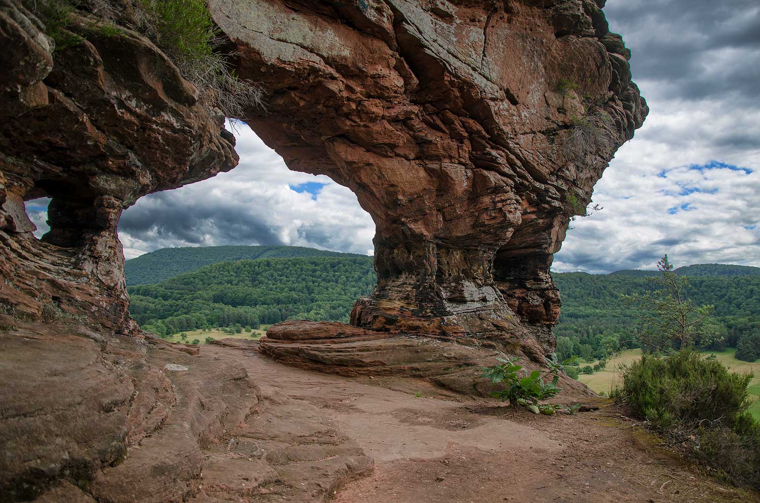 L'arizona des Vosges | Aurélien Zint