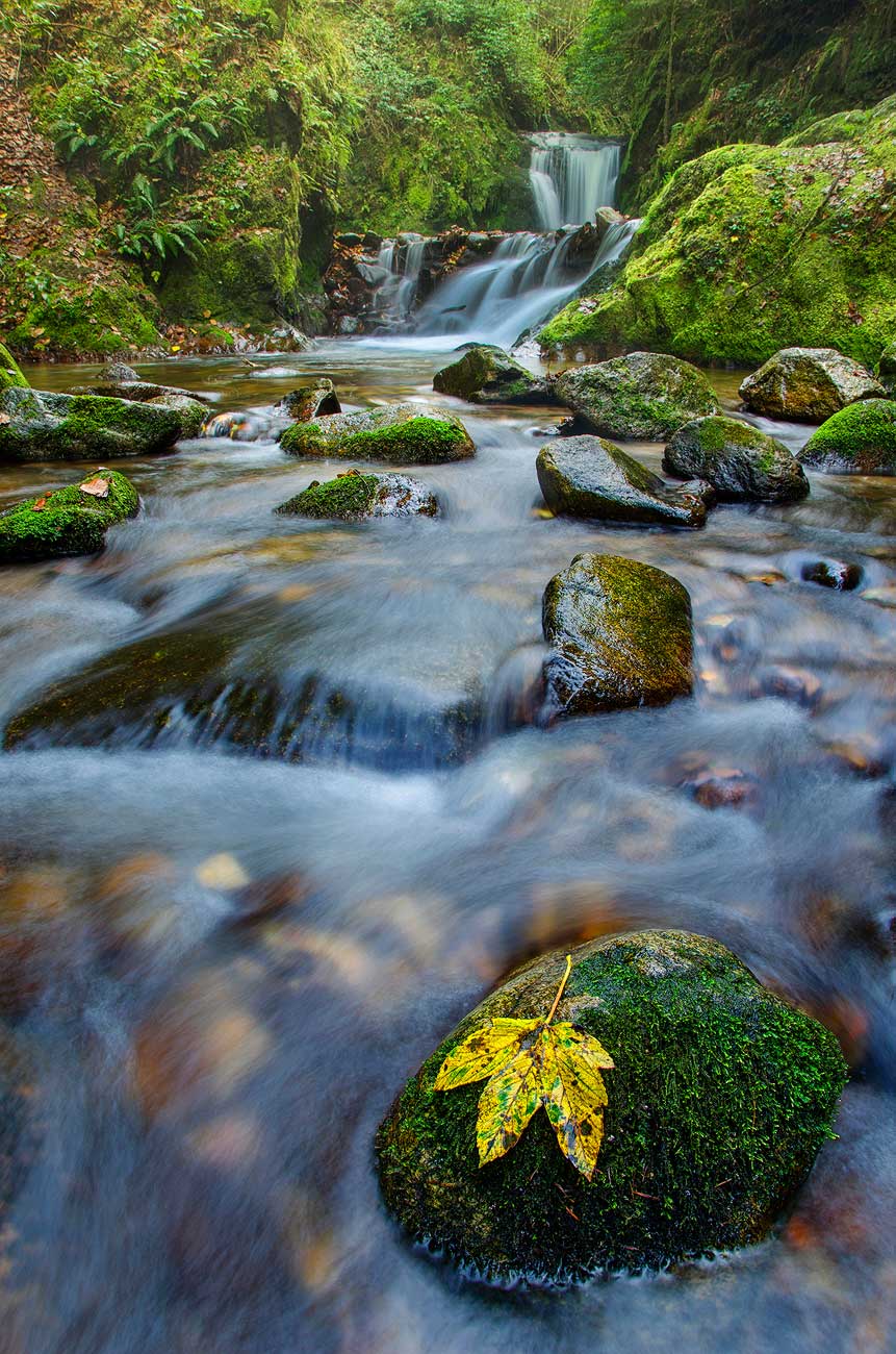 Cascade en Forêt-Noire | Aurélien Zint